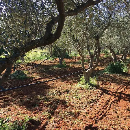 Elena νεαπολη βοιων Villa